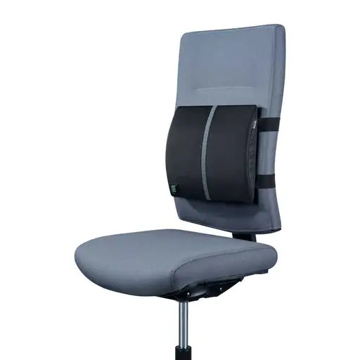 Lumbar Support with Heat Option