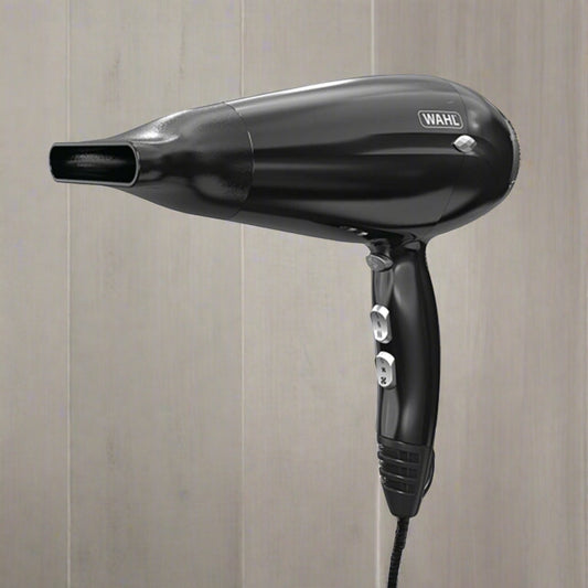 2000W POWER SHINE HAIR DRYER